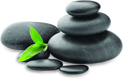 Pajzsmirigy vizsgálat Győrben